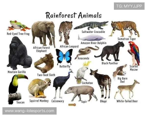 足球球星鸟类命名揭秘：他们与大自然的特殊联系与象征意义