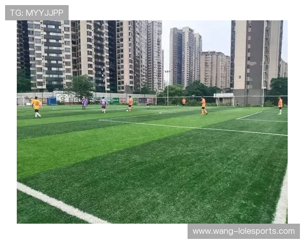 遂溪足球星：从小城到绿茵场的梦想与坚持，成就未来之星